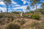 vente Terrain Bordezac