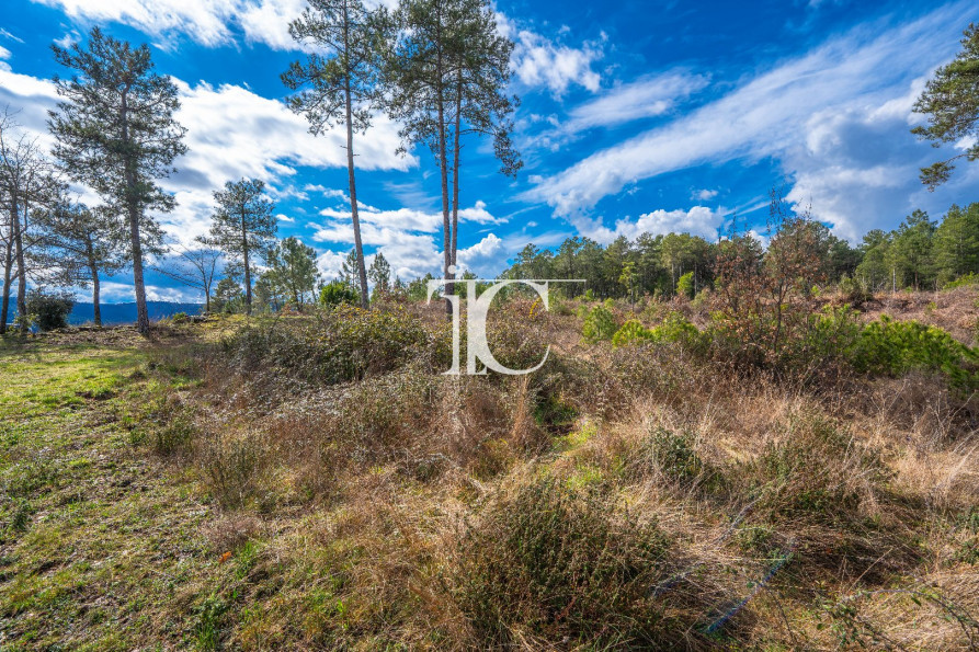 vente Terrain Bordezac - Photo 5