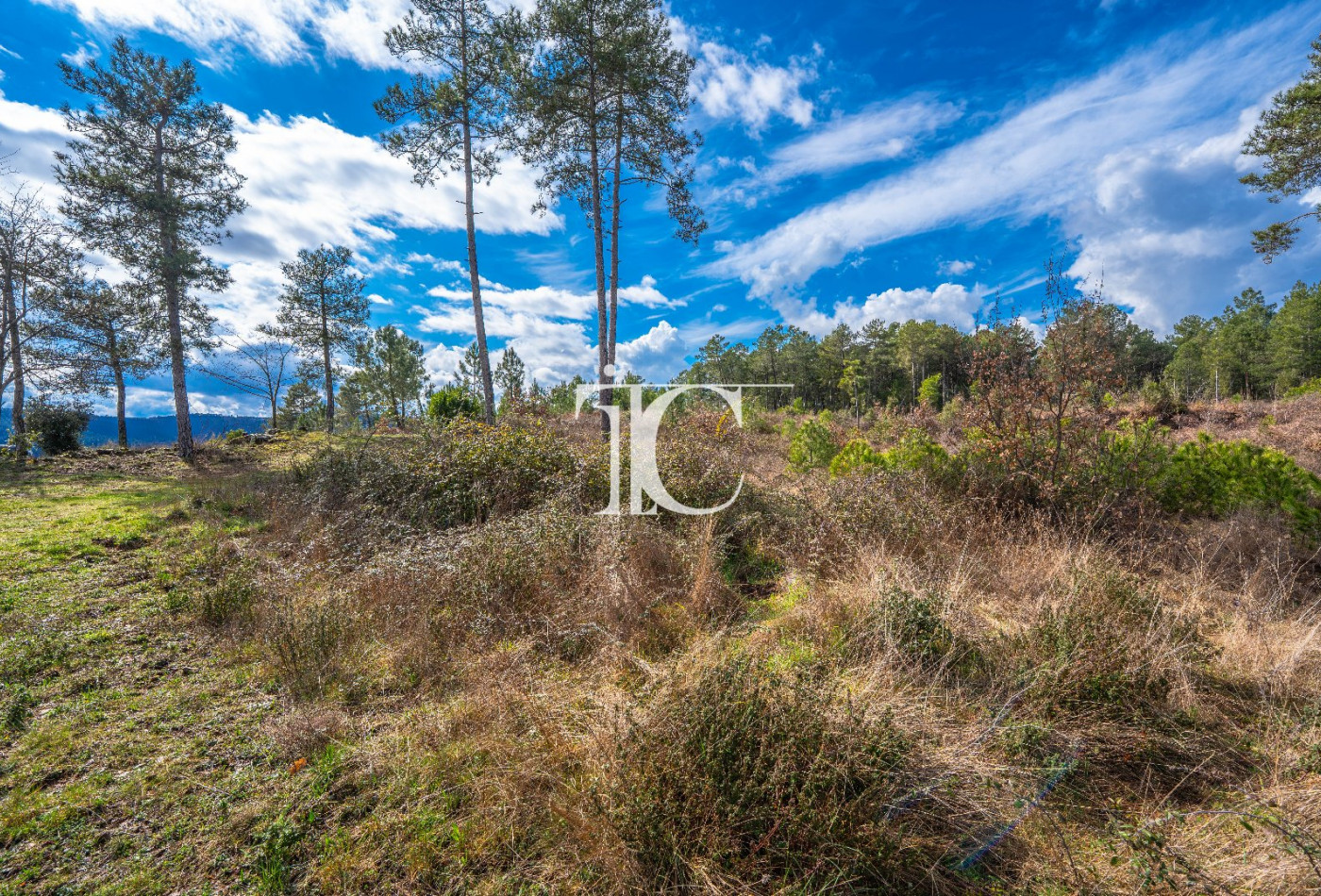 vente Terrain Bordezac - Photo 5