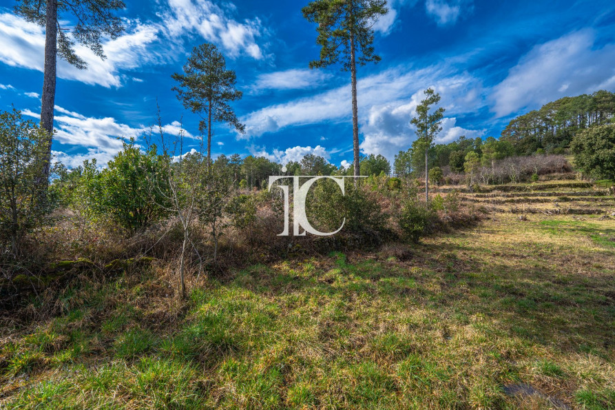 vente Terrain Bordezac - Photo 6