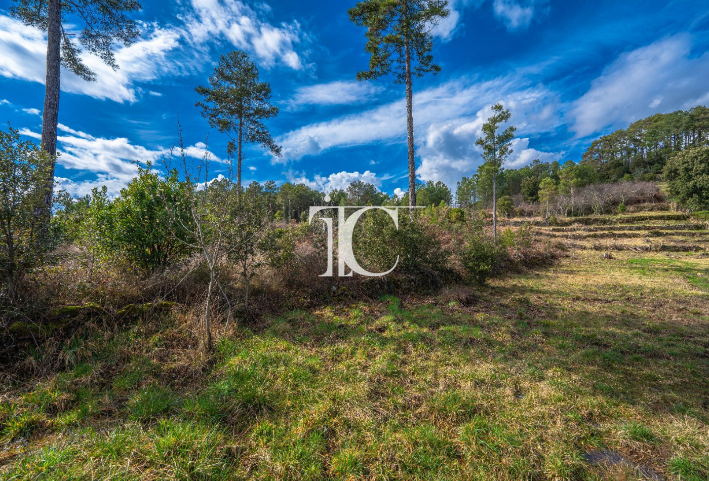 vente Terrain Bordezac - Photo 6