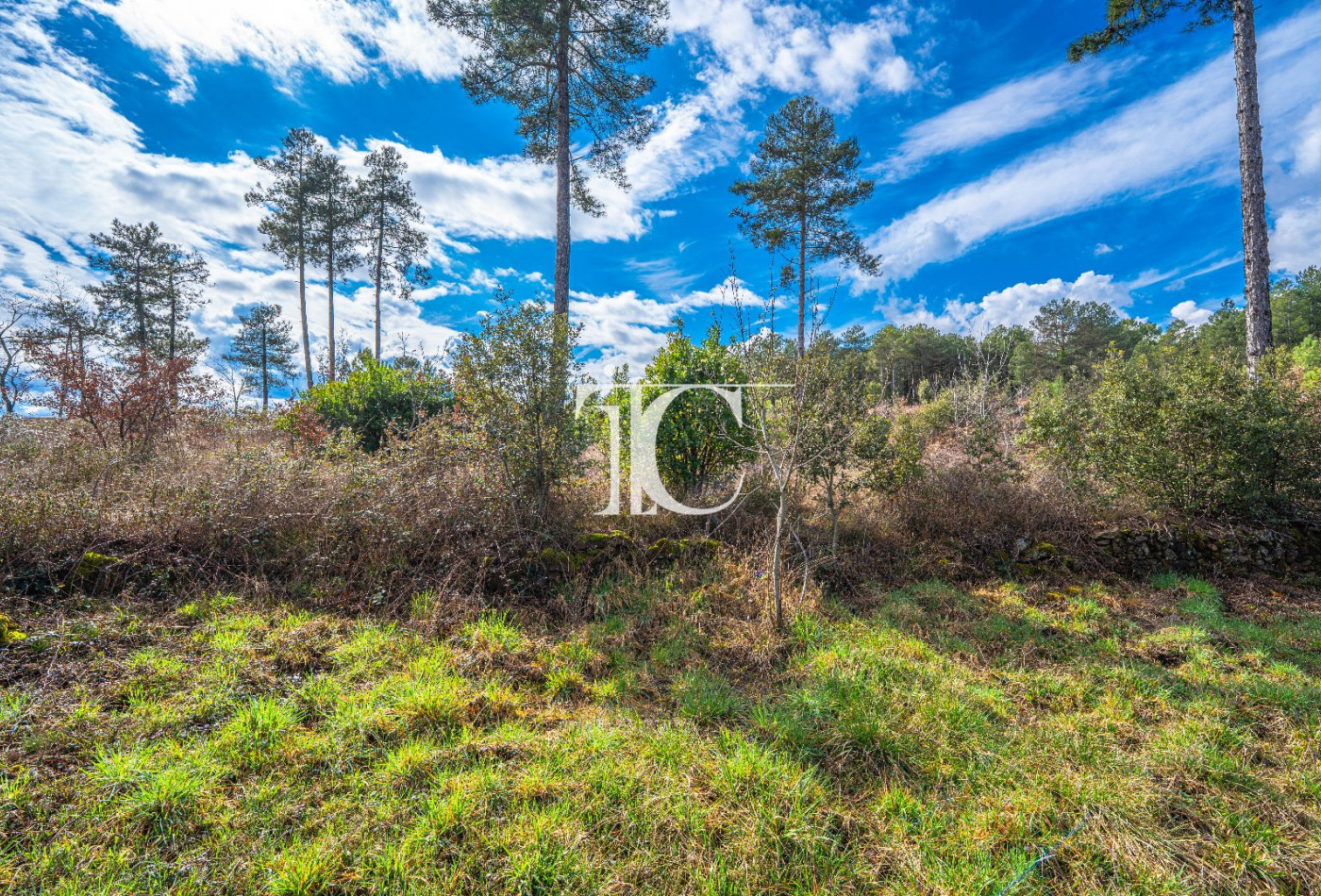 vente Terrain Bordezac - Photo 7