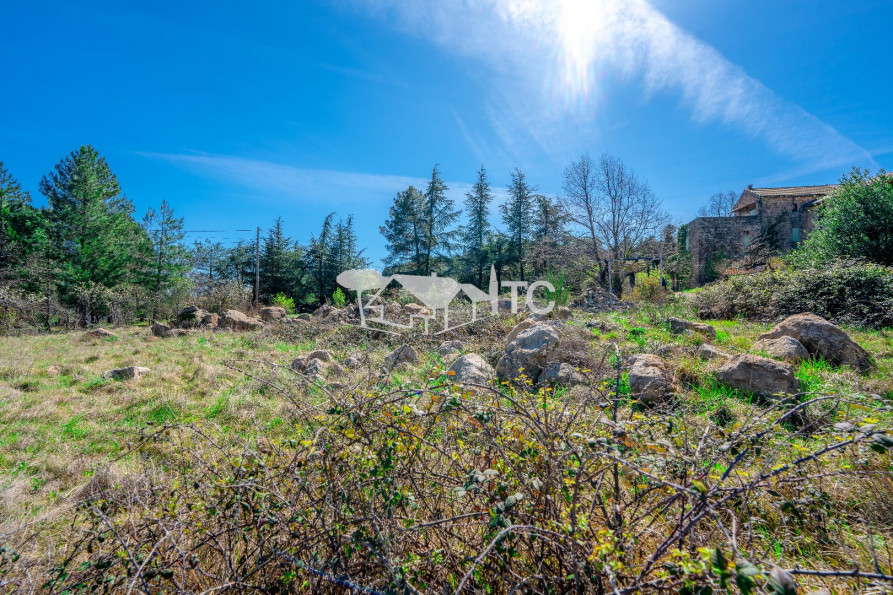 vente Terrain Saint Pierre Saint Jean - Photo 1