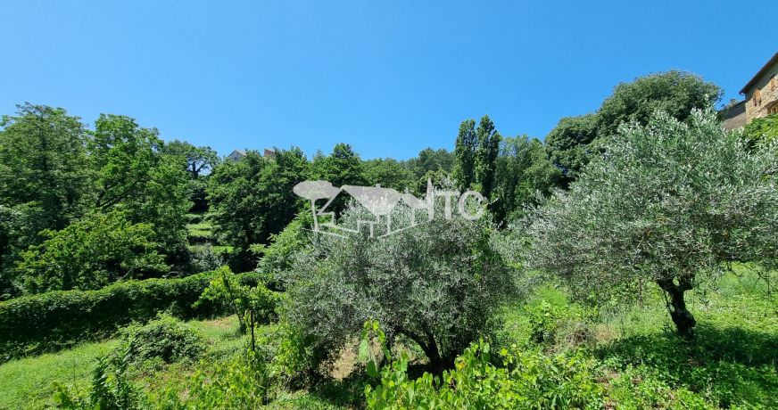 vente Maison de caractère Saint Paul Le Jeune