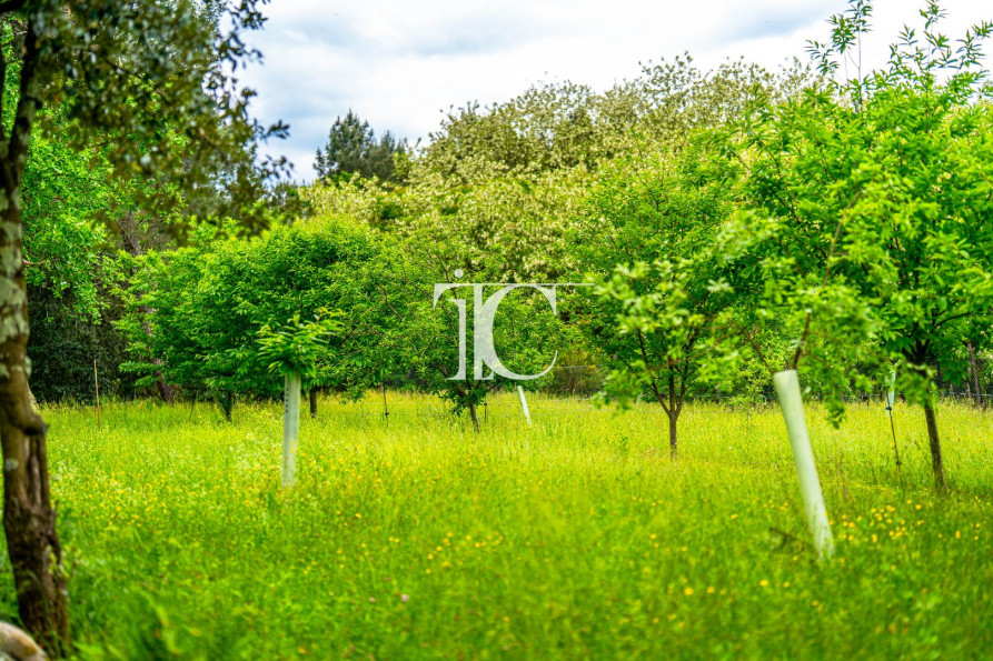 vente Terrain Les Vans - Photo 4