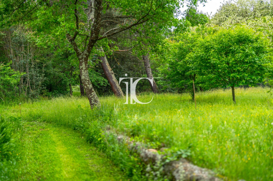 vente Terrain Les Vans - Photo 3