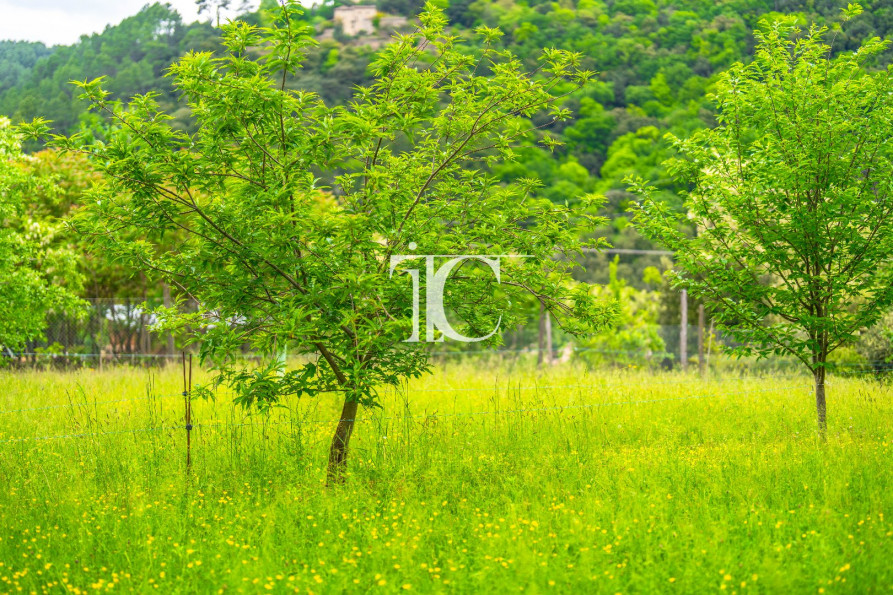 vente Terrain Les Vans - Photo 5