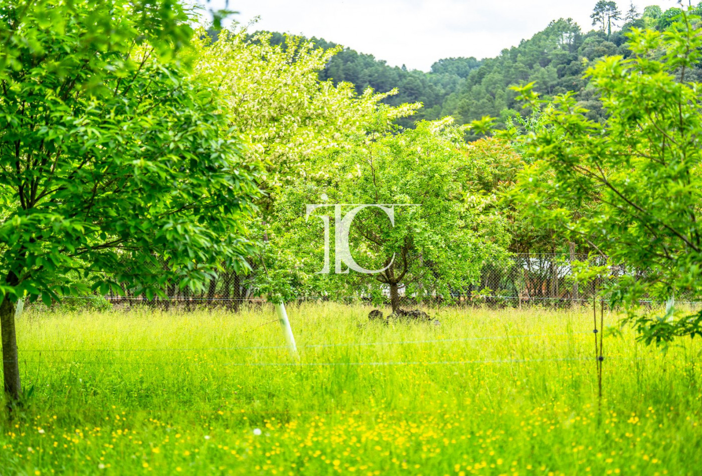 vente Terrain Les Vans - Photo 6