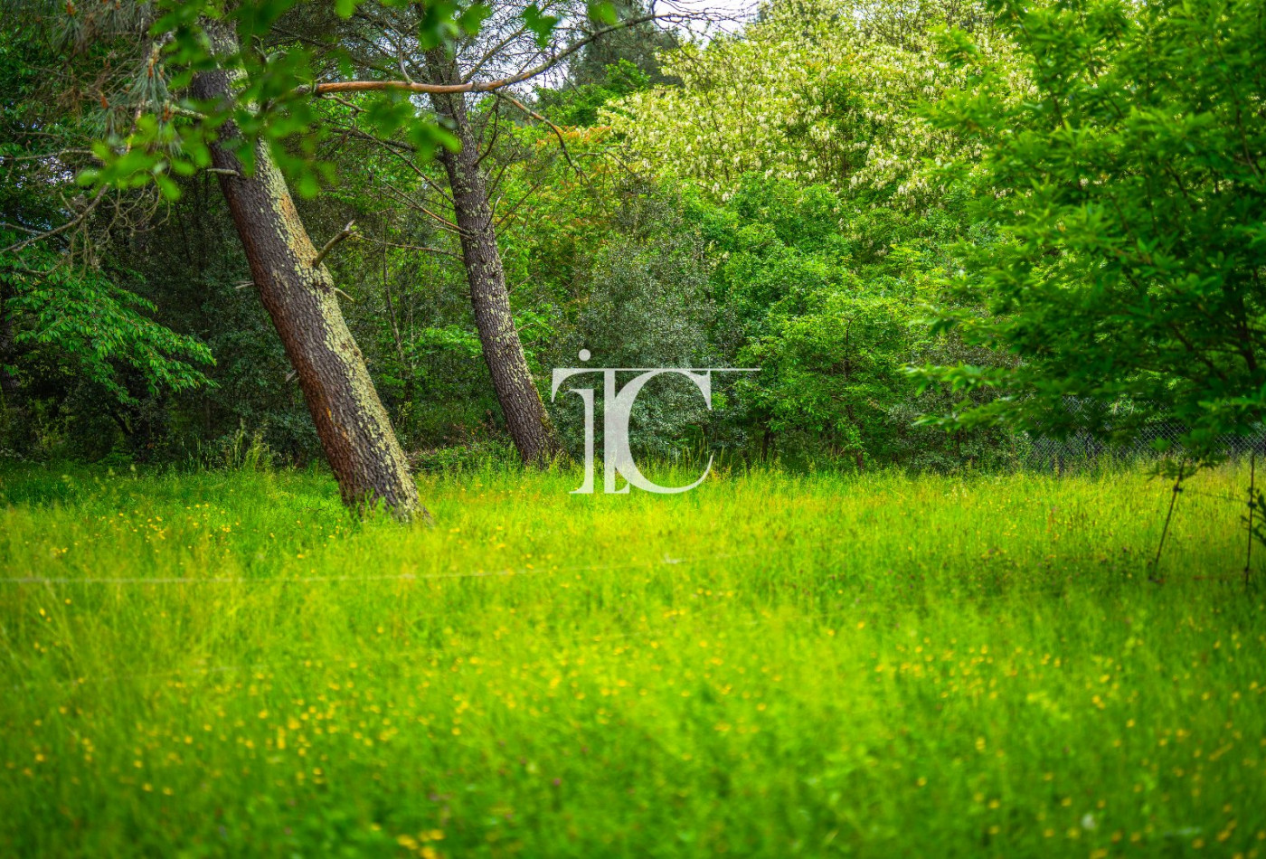 vente Terrain Les Vans - Photo 7