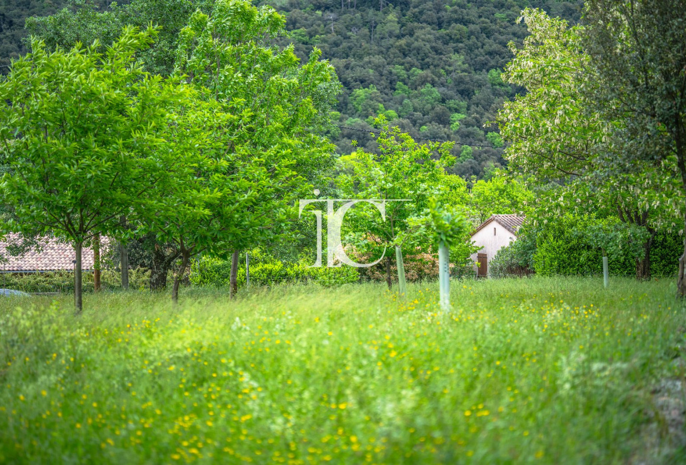 vente Terrain Les Vans - Photo 10