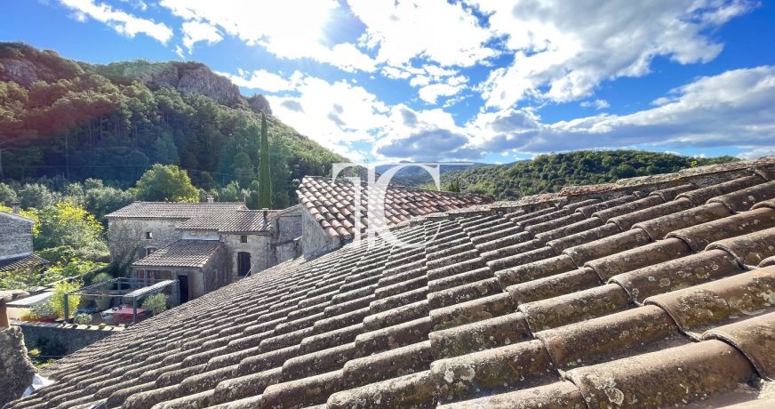 vente Maison en pierre Salavas