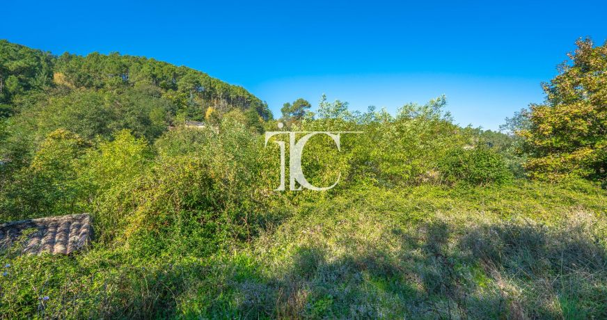 vente Maison Peyremale