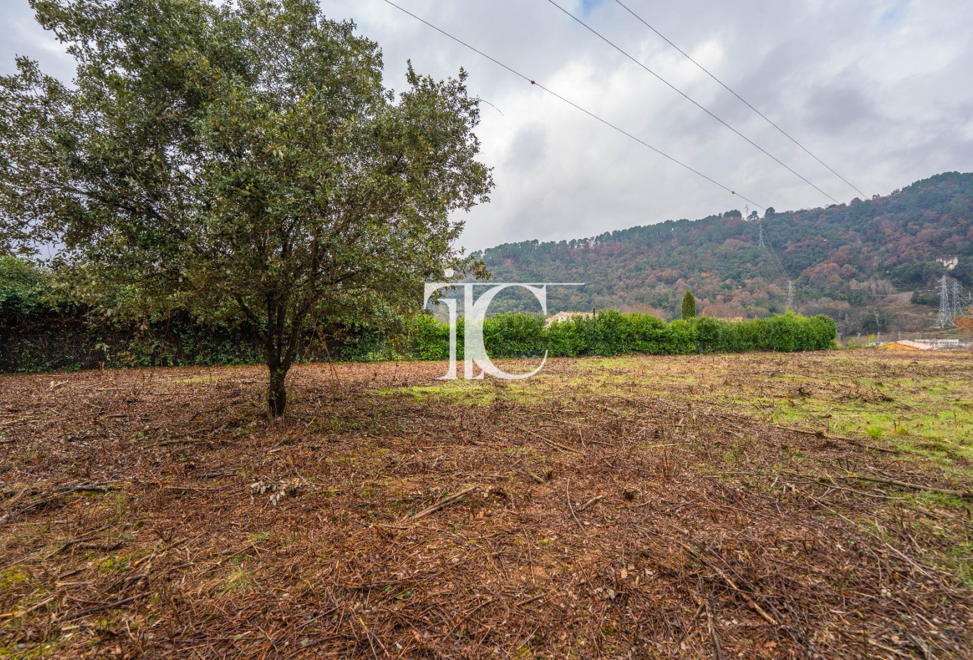 vente Terrain Chambonas - Photo 7