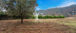 vente Terrain Chambonas