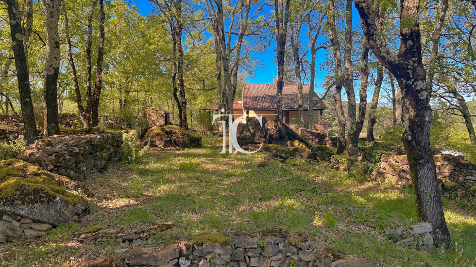 vente Maison Saint Ambroix - Photo 3