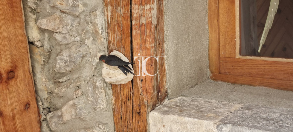 vente Maison de hameau Saint Andre De Cruzieres - Photo 2