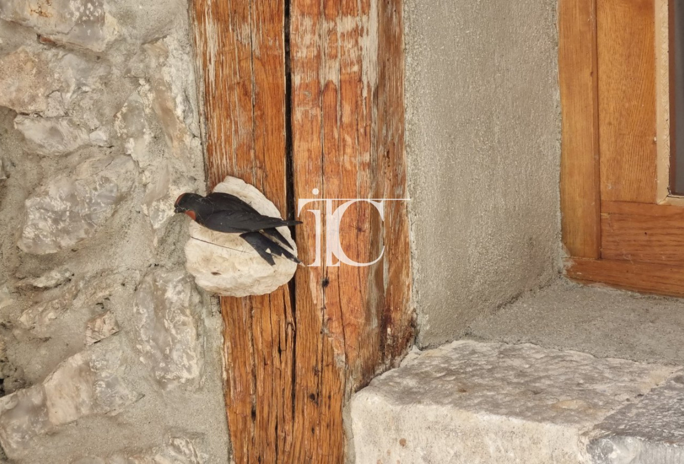 vente Maison de hameau Saint Andre De Cruzieres - Photo 2