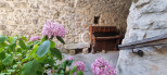 vente Maison de hameau Saint Andre De Cruzieres