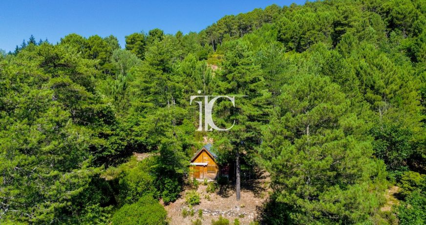 vente Chalet en bois Chamborigaud