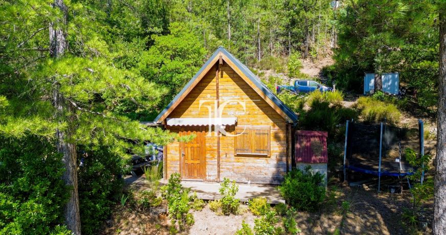 vente Chalet en bois Chamborigaud