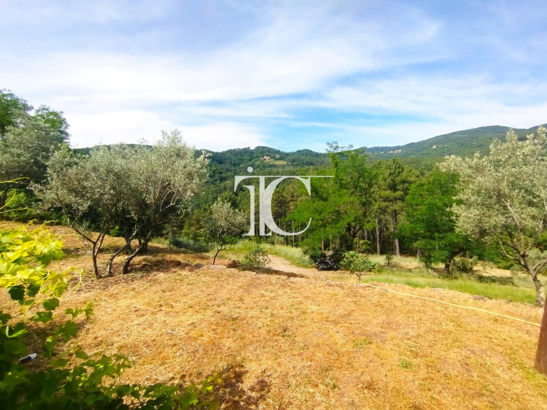 vente Maison en pierre Saint Andre Lachamp - Photo 4