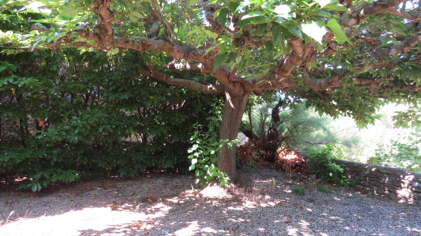 à vendre Maison Uzes - Photo 5