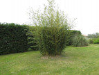à vendre Villa Uzes