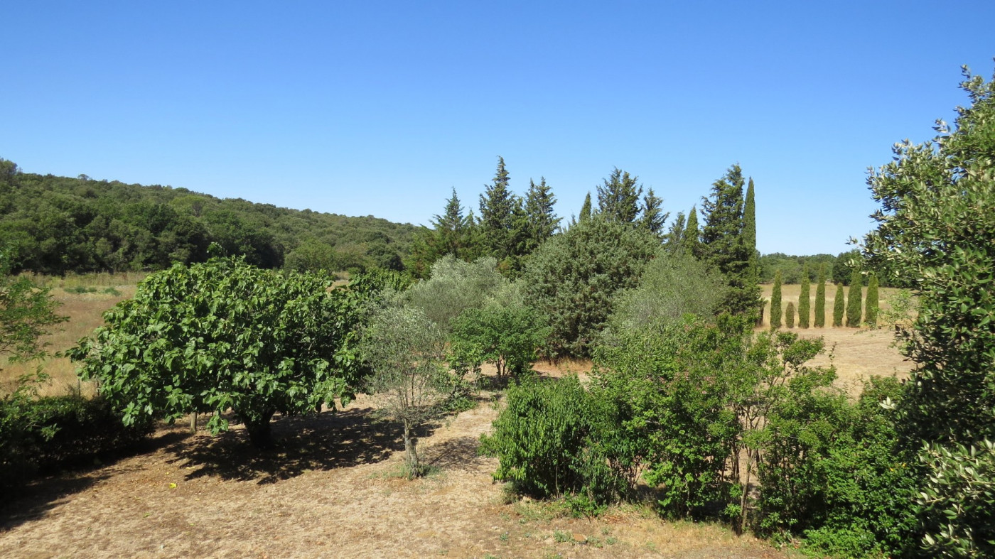 à vendre Mas Uzes - Photo 8