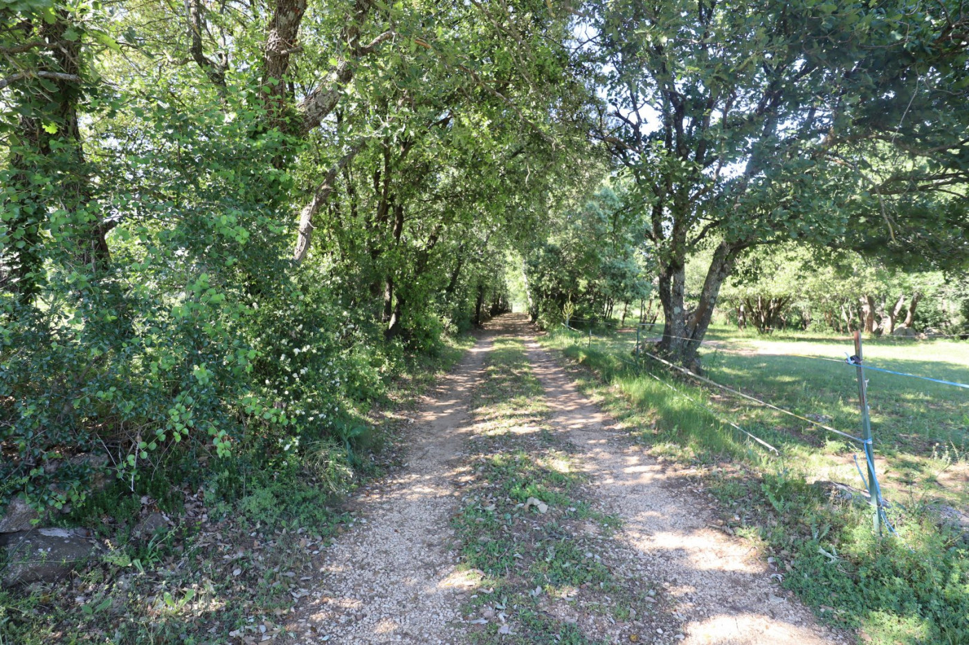 à vendre Mas Uzes - Photo 15