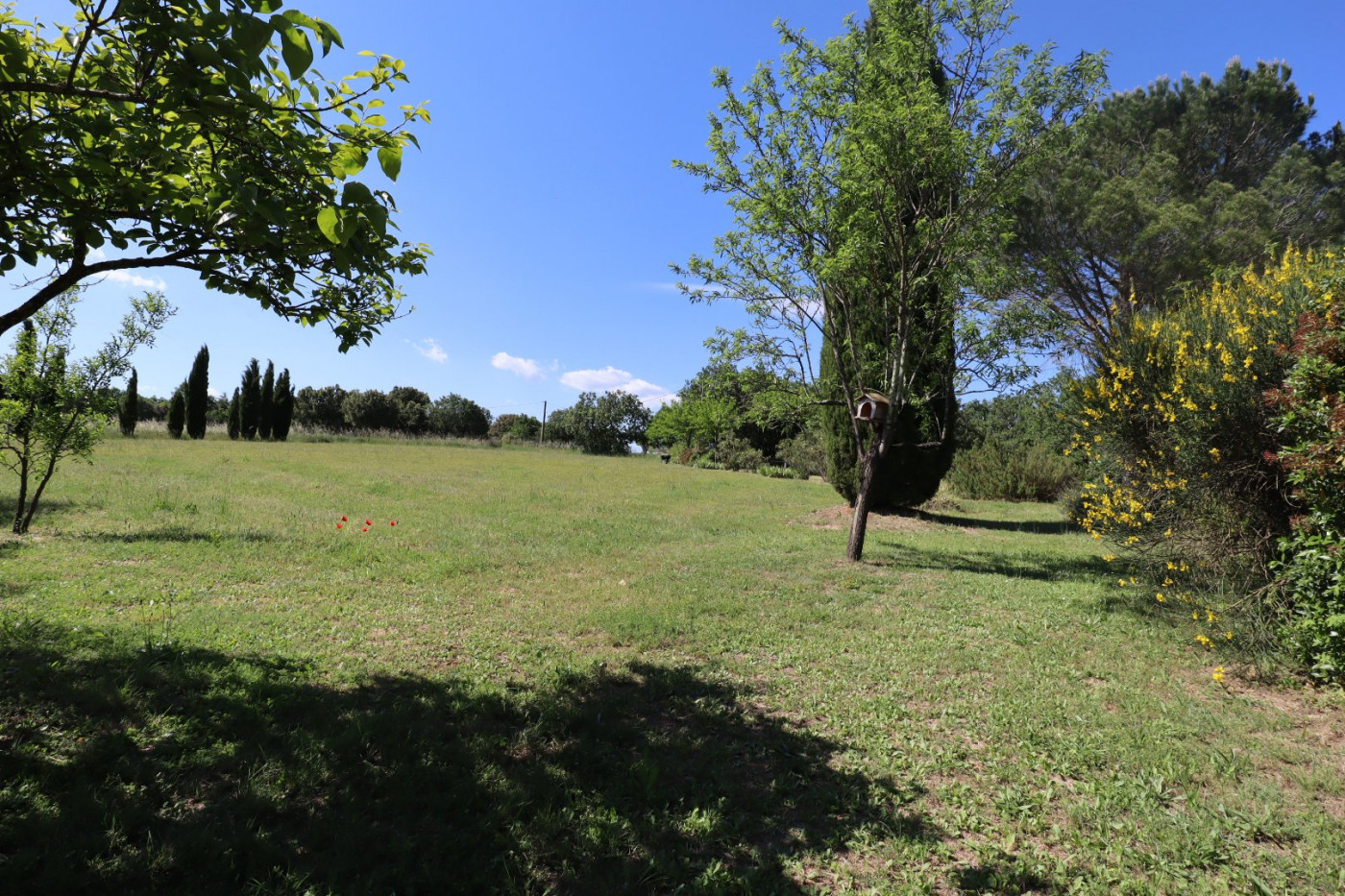 à vendre Mas Uzes - Photo 4