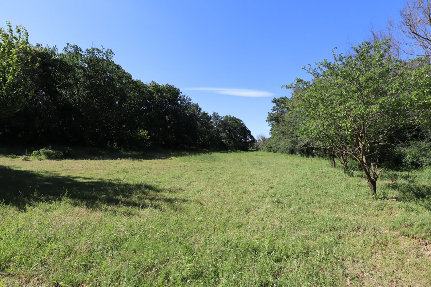 à vendre Mas Uzes - Photo 16