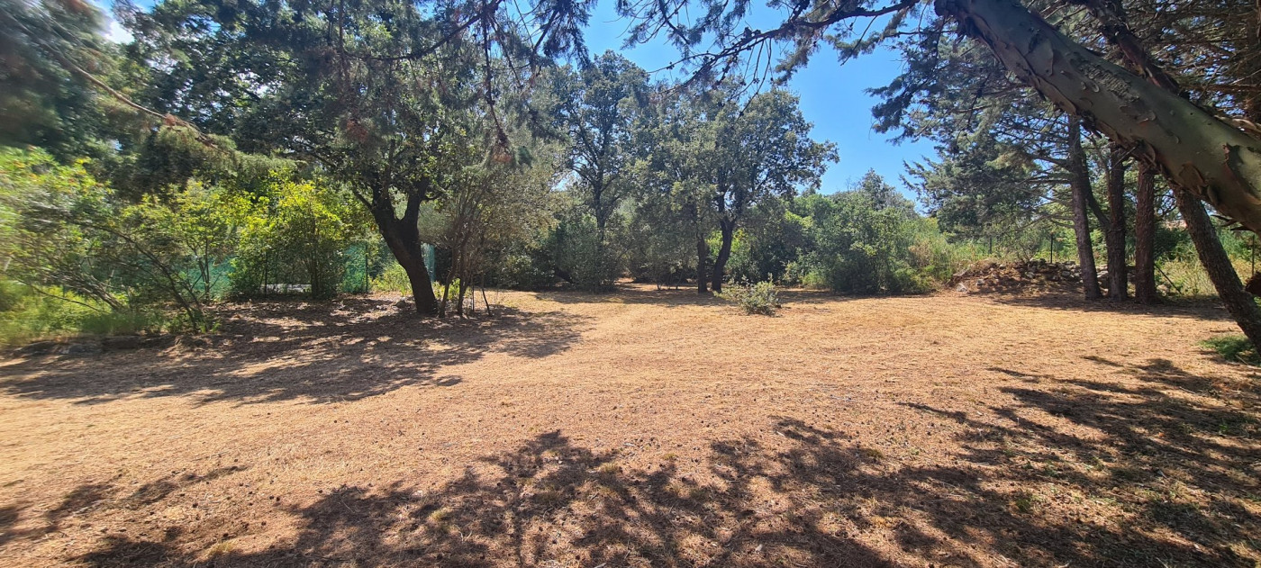 à vendre Terrain constructible Saint Siffret - Photo 2