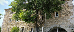 vente Mas de village Uzes