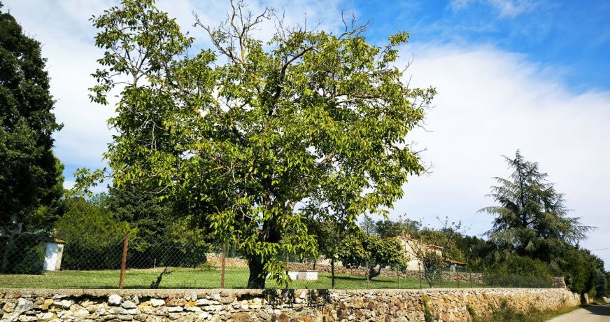 vente Terrain constructible Uzes