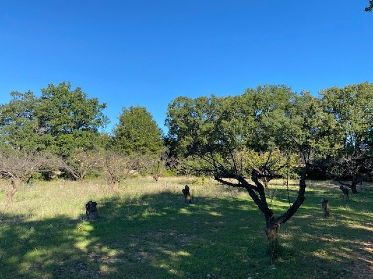 à vendre Terrain constructible Belvezet - Photo 2