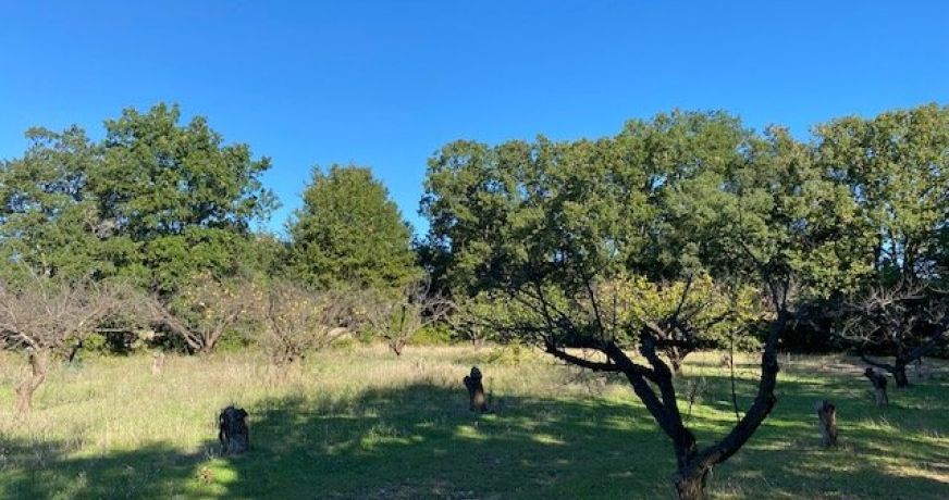 vente Terrain constructible Uzes