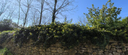 vente Terrain constructible Uzes