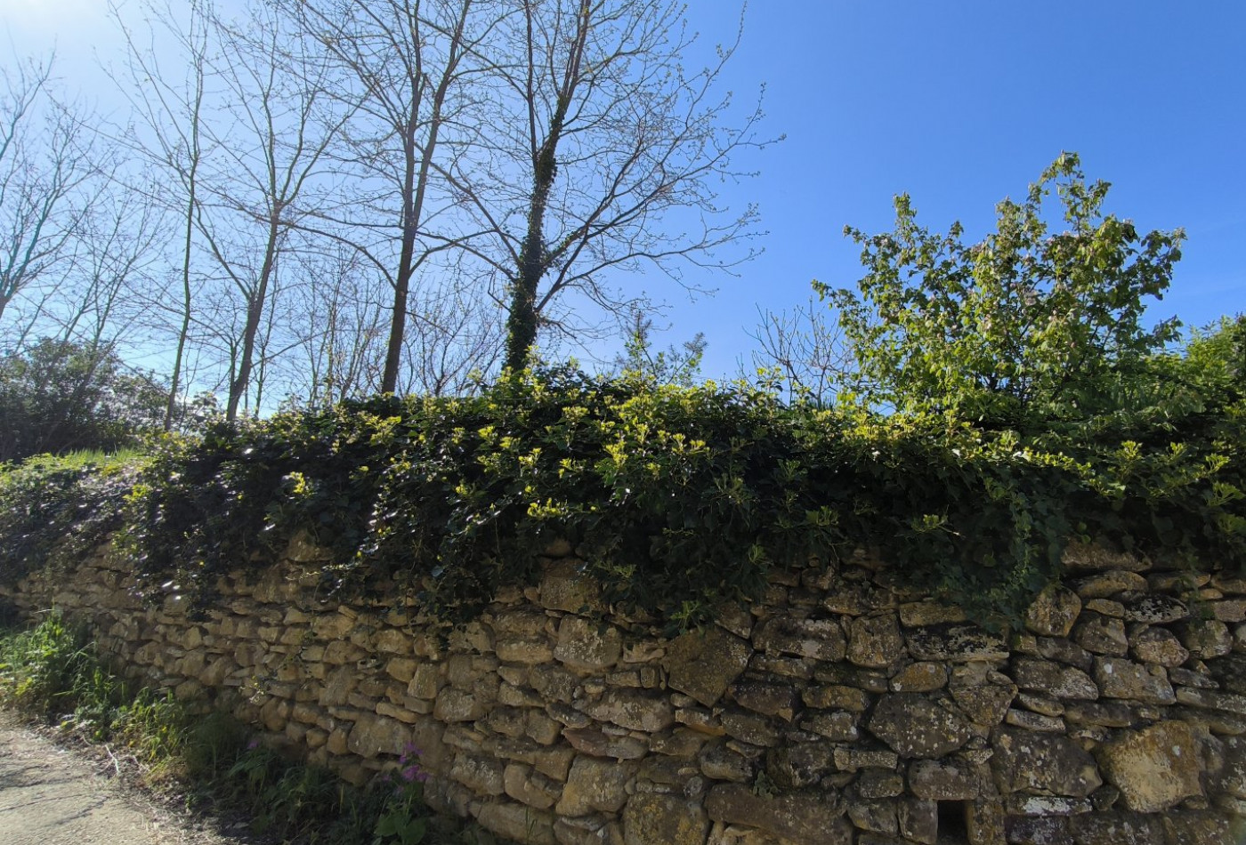 vente Terrain constructible Uzes - Photo 5