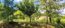 vente Terrain constructible Uzes