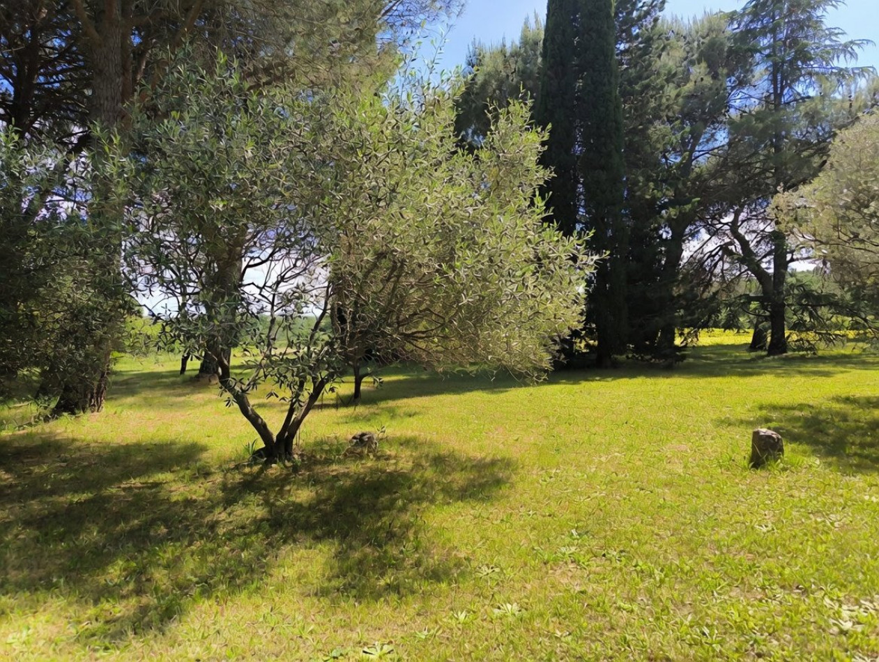 vente Mas Uzes - Photo 15
