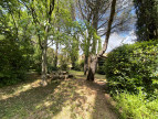 vente Mas Uzes