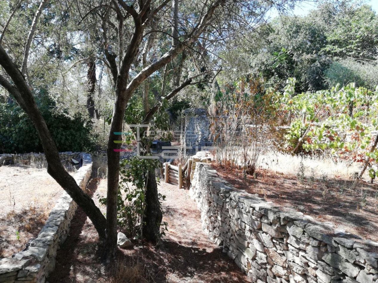 vente Mazet Nimes - Photo 6