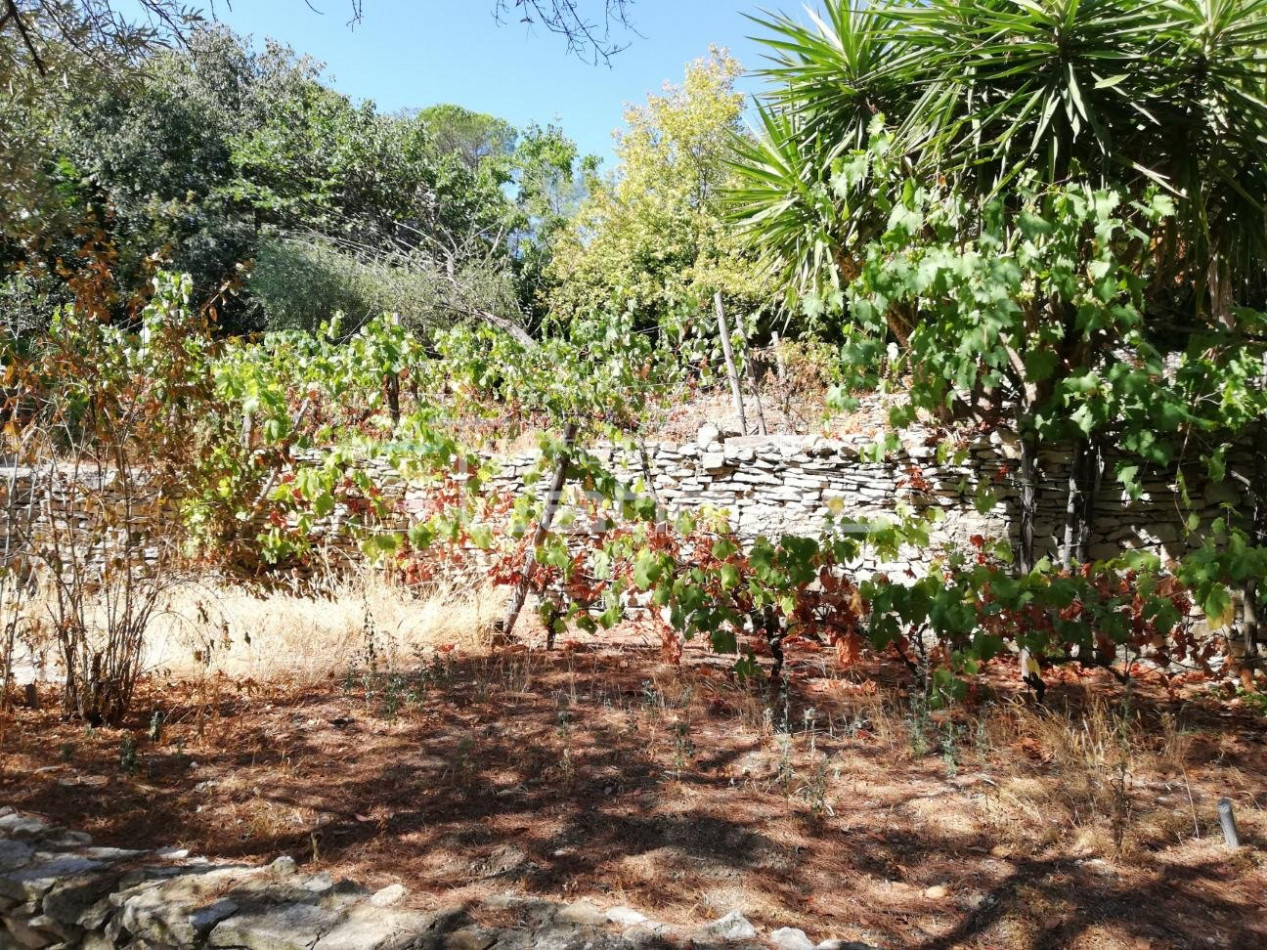 vente Mazet Nimes - Photo 9