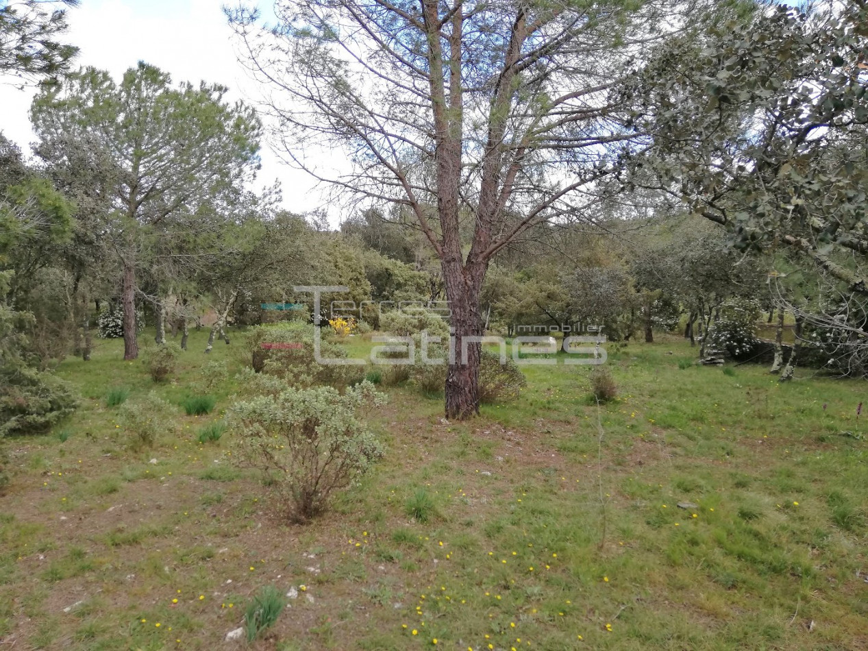 vente Terrain de loisir Nimes - Photo 7