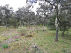 vente Terrain de loisir Nimes