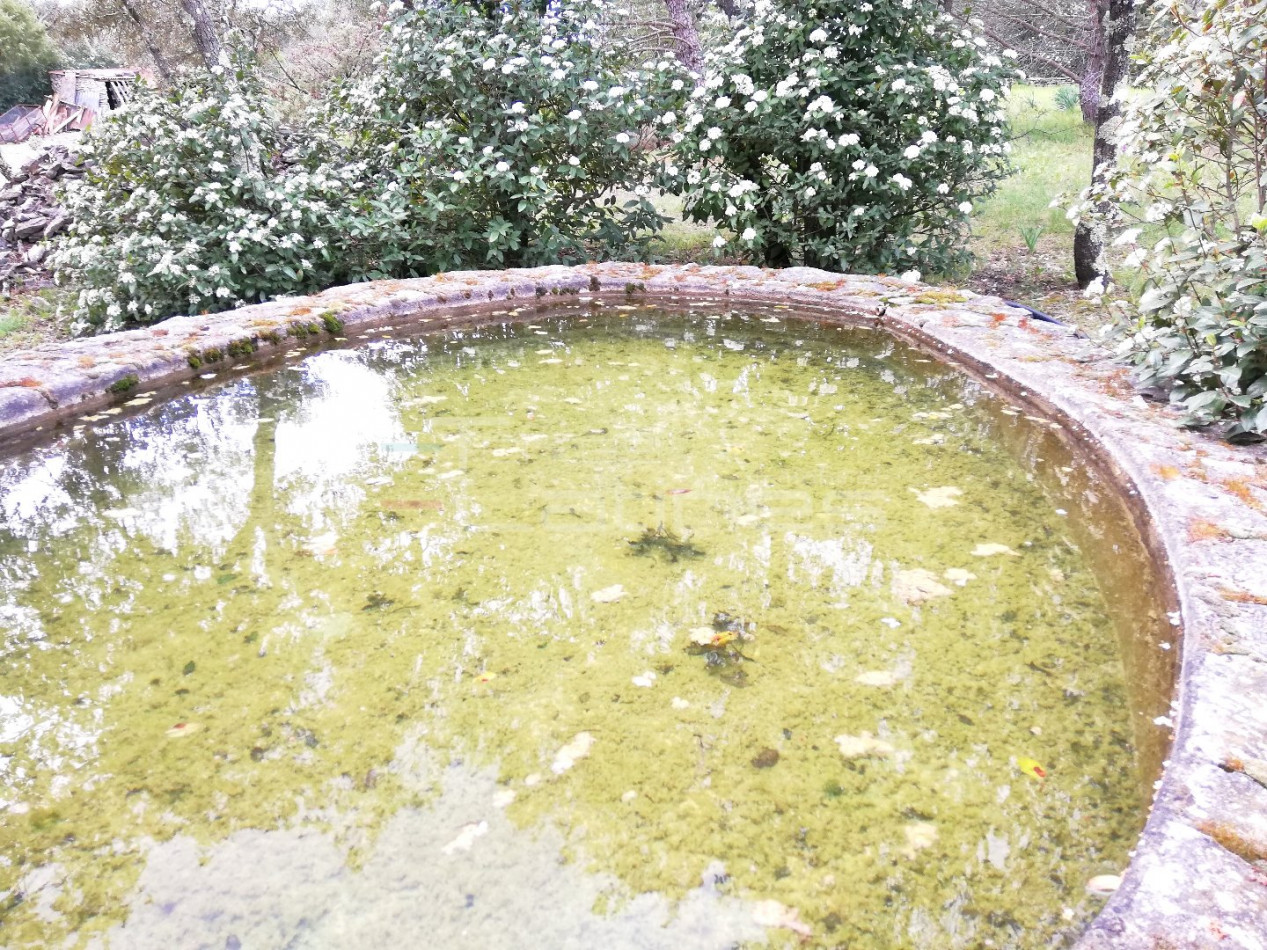 vente Terrain de loisir Nimes - Photo 10