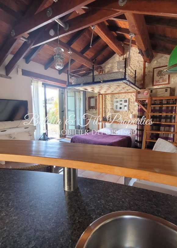 vente Demeure de ville et village Uzes