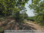 vente Terrain Barjac