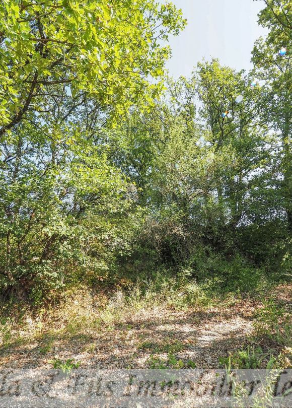 vente Terrain Barjac