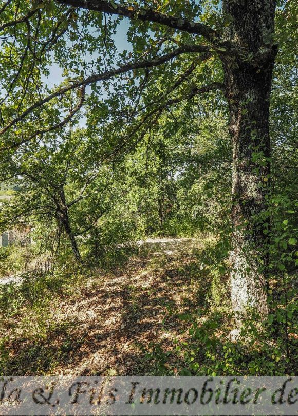 vente Terrain Barjac